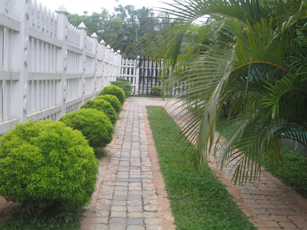 Hotel Kiyara Dambulla Exteriér fotografie